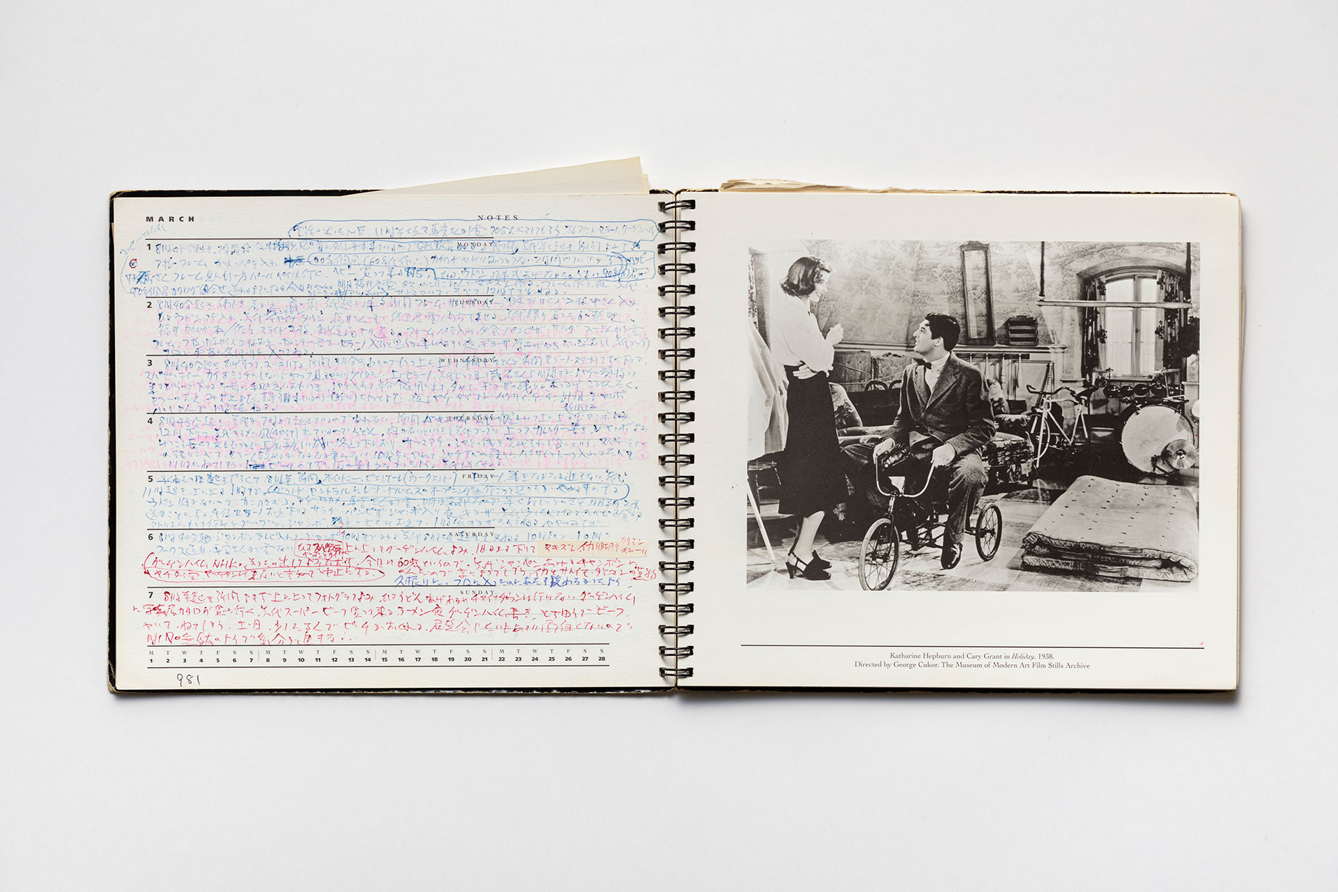 日記, 1993.1.1–1994.1.2