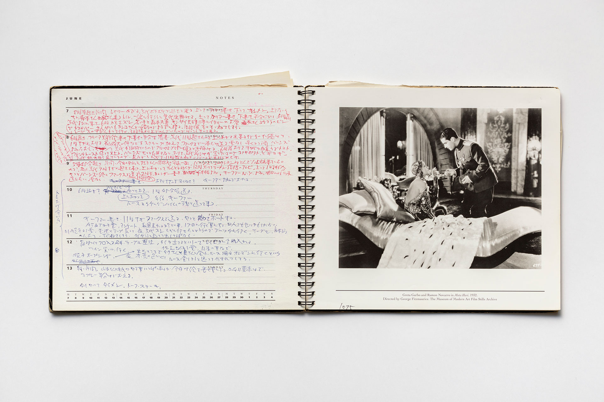 日記, 1993.1.1–1994.1.2