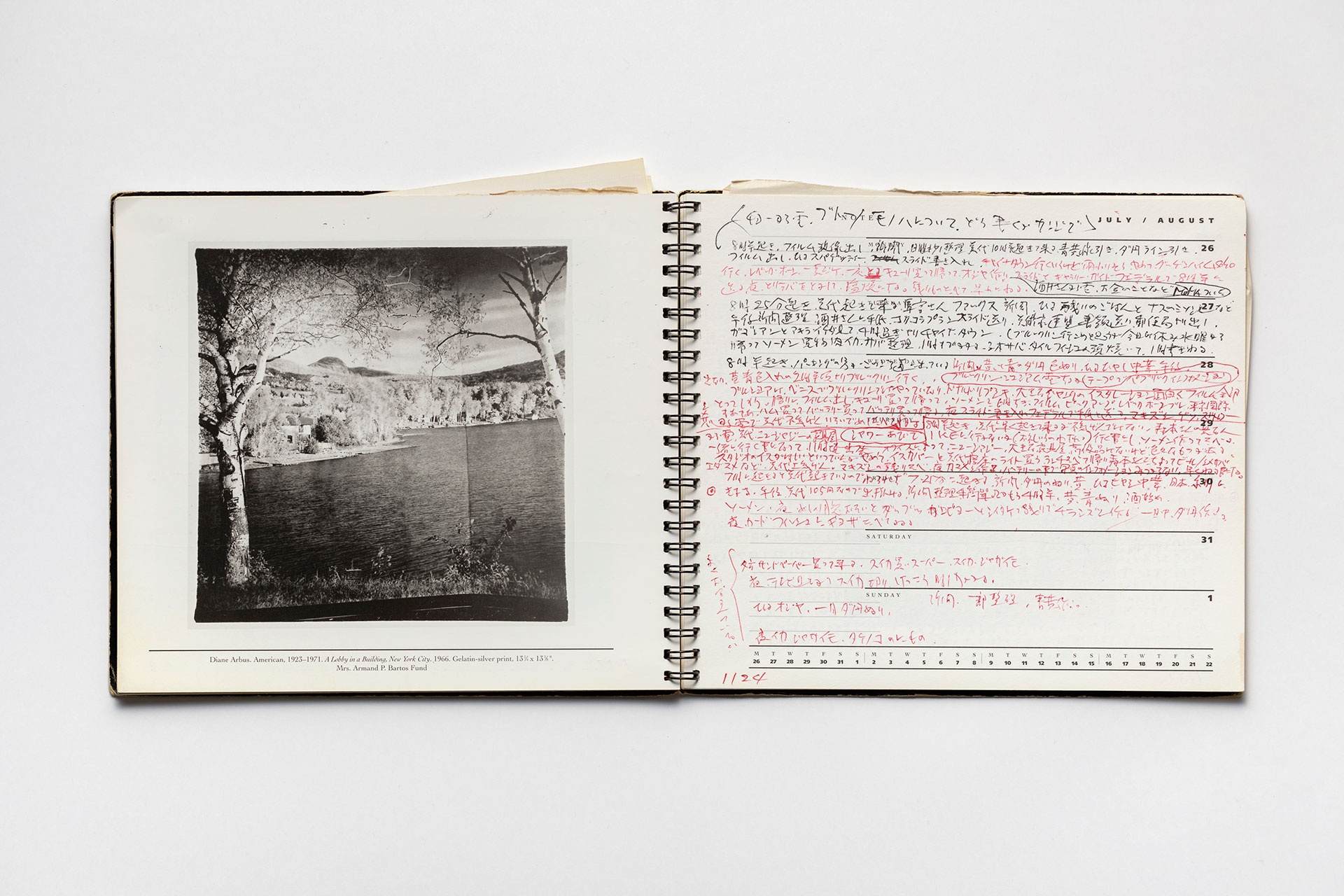 日記, 1993.1.1–1994.1.2