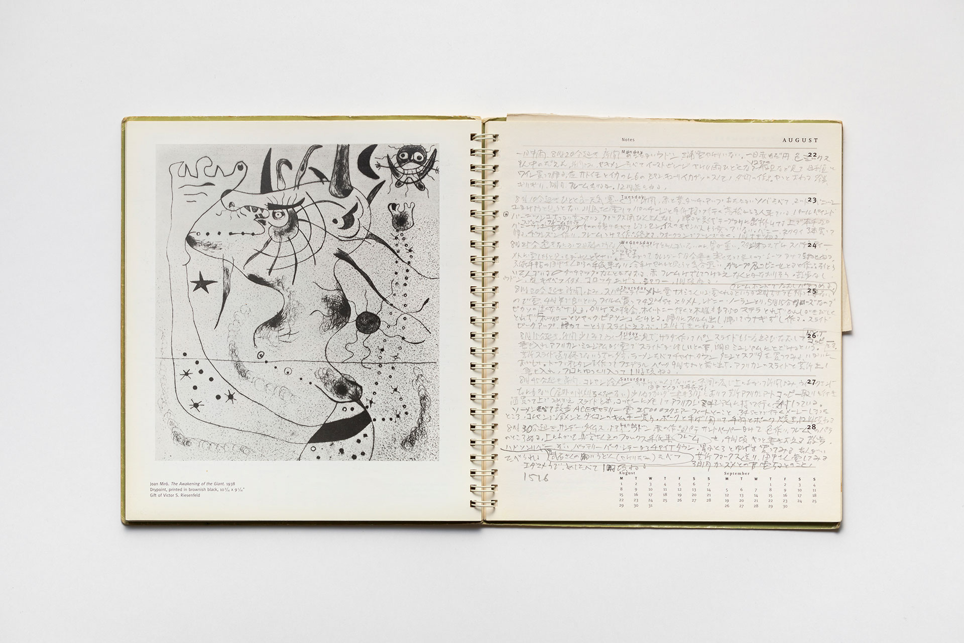 日記, 1994.1.3–1995.1.1