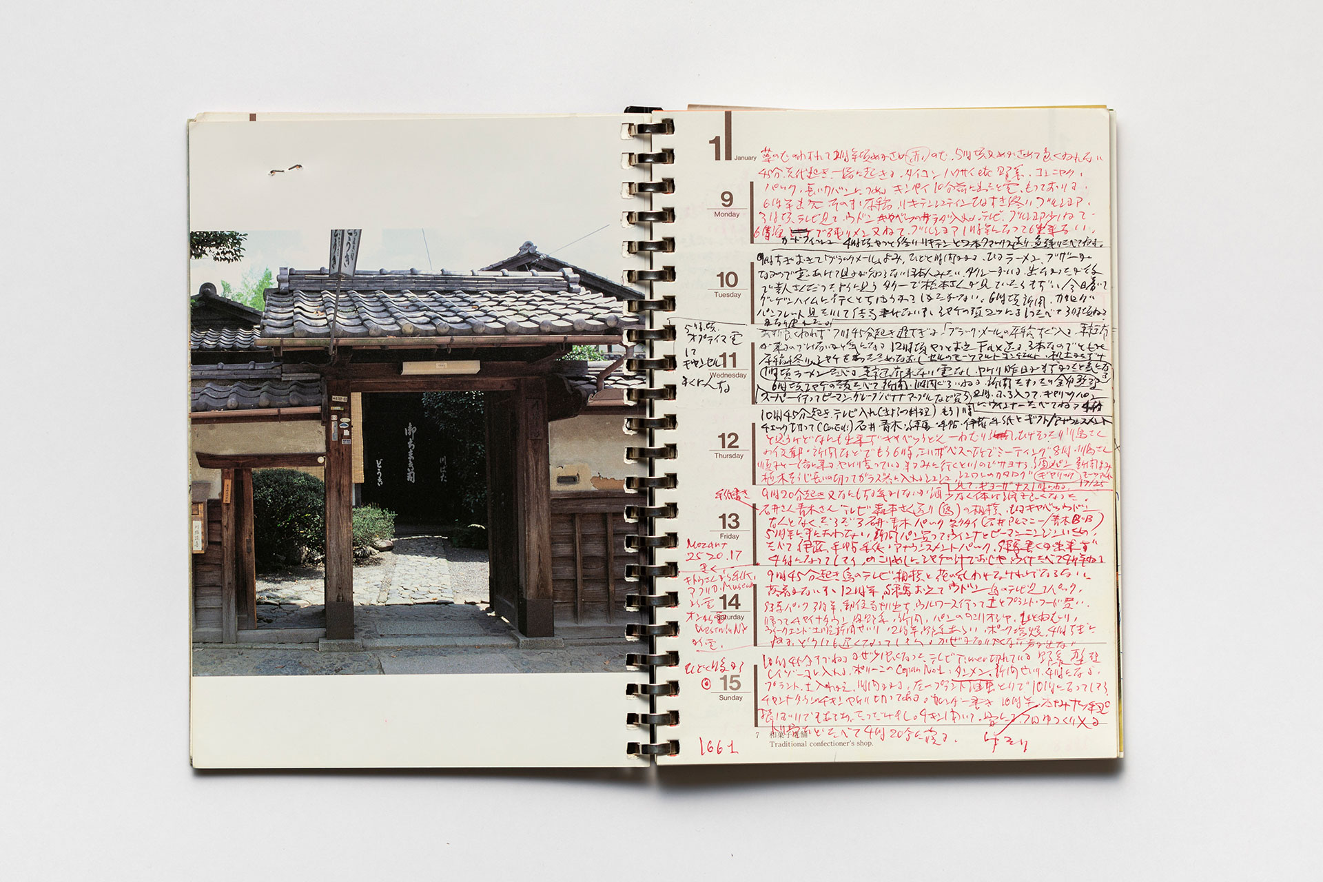 日記, 1995.1.1–1995.12.31