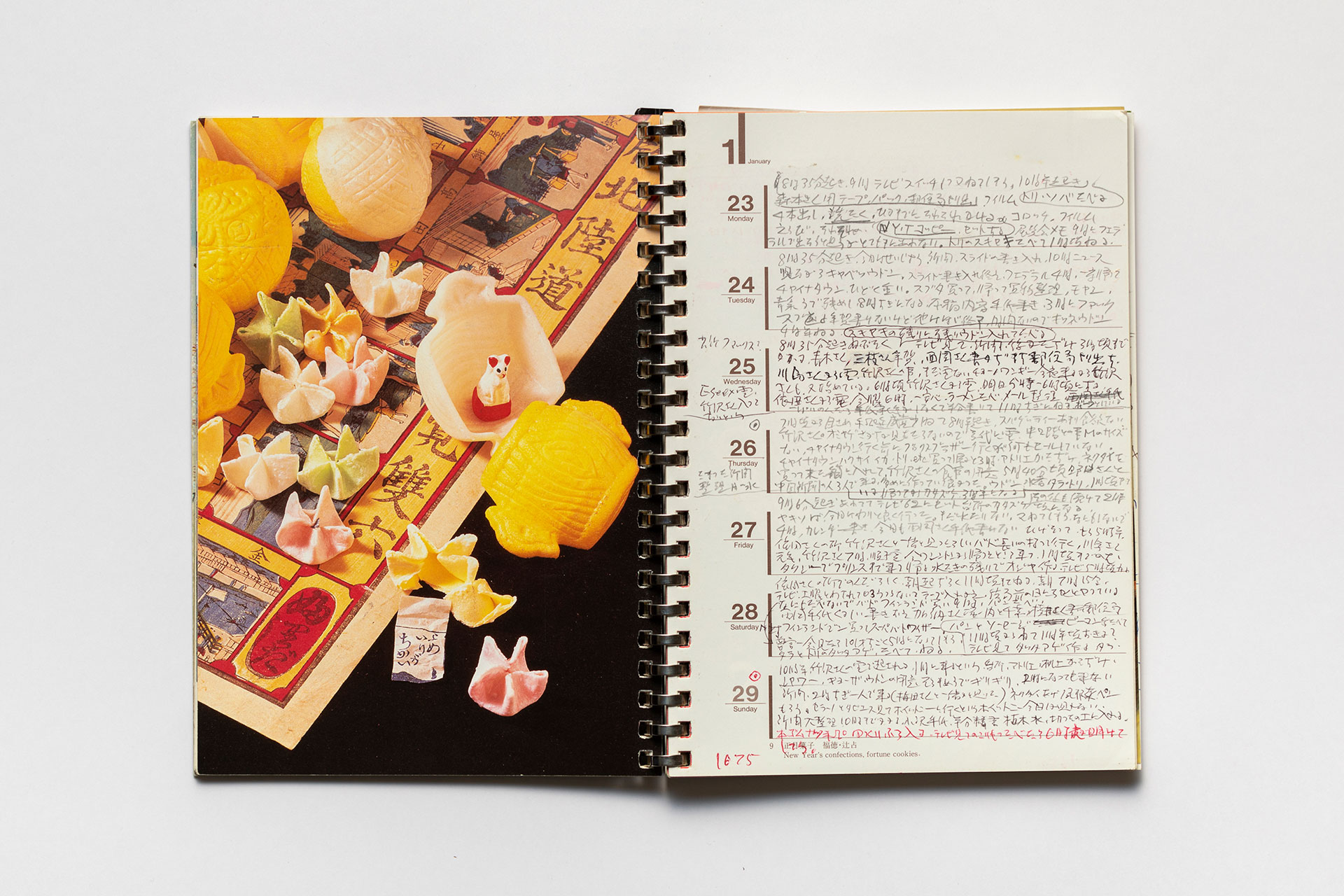 日記, 1995.1.1–1995.12.31