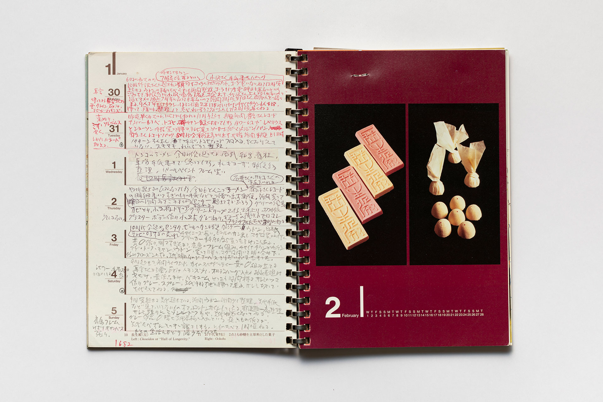 日記, 1995.1.1–1995.12.31