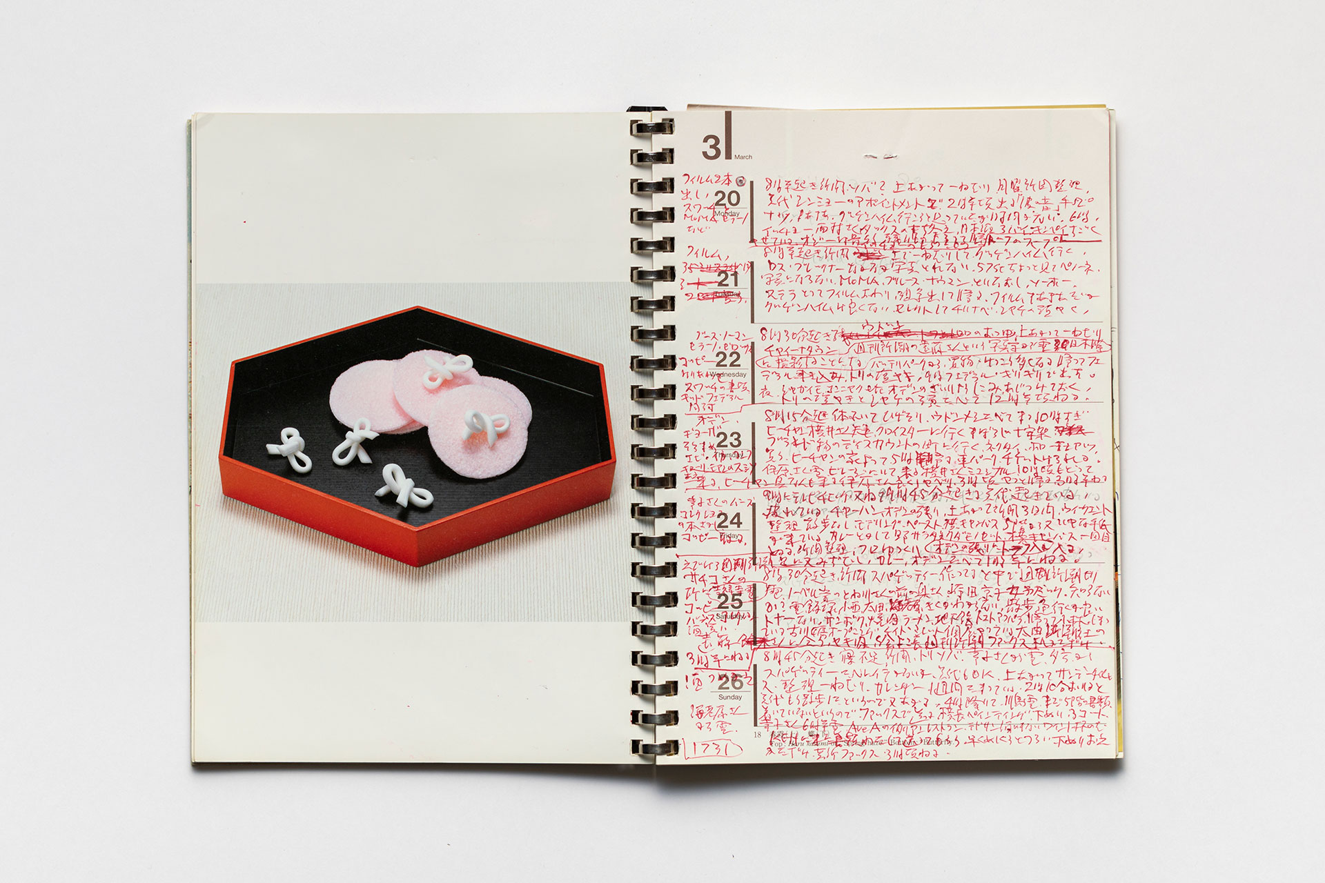 日記, 1995.1.1–1995.12.31