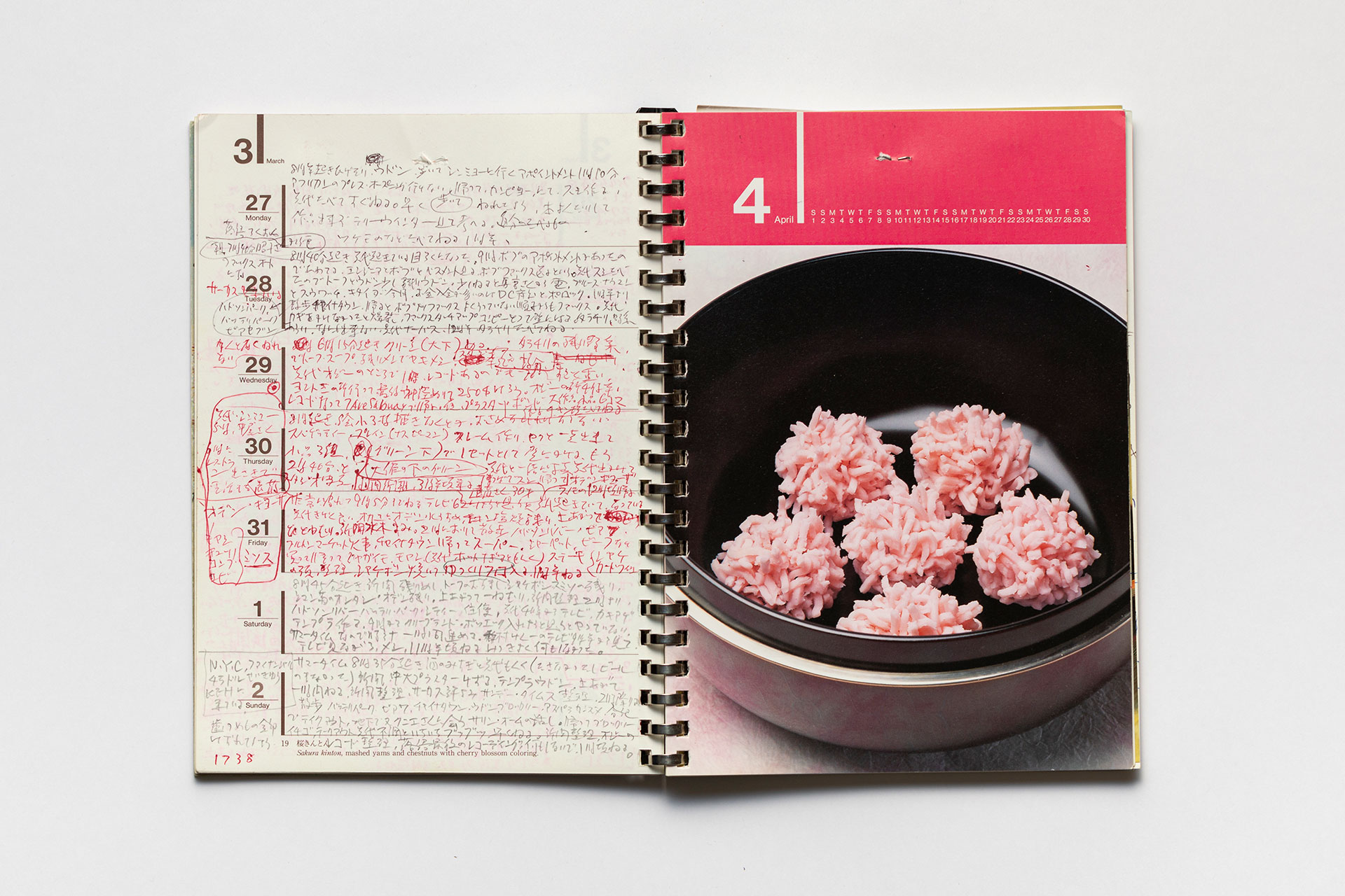 日記, 1995.1.1–1995.12.31