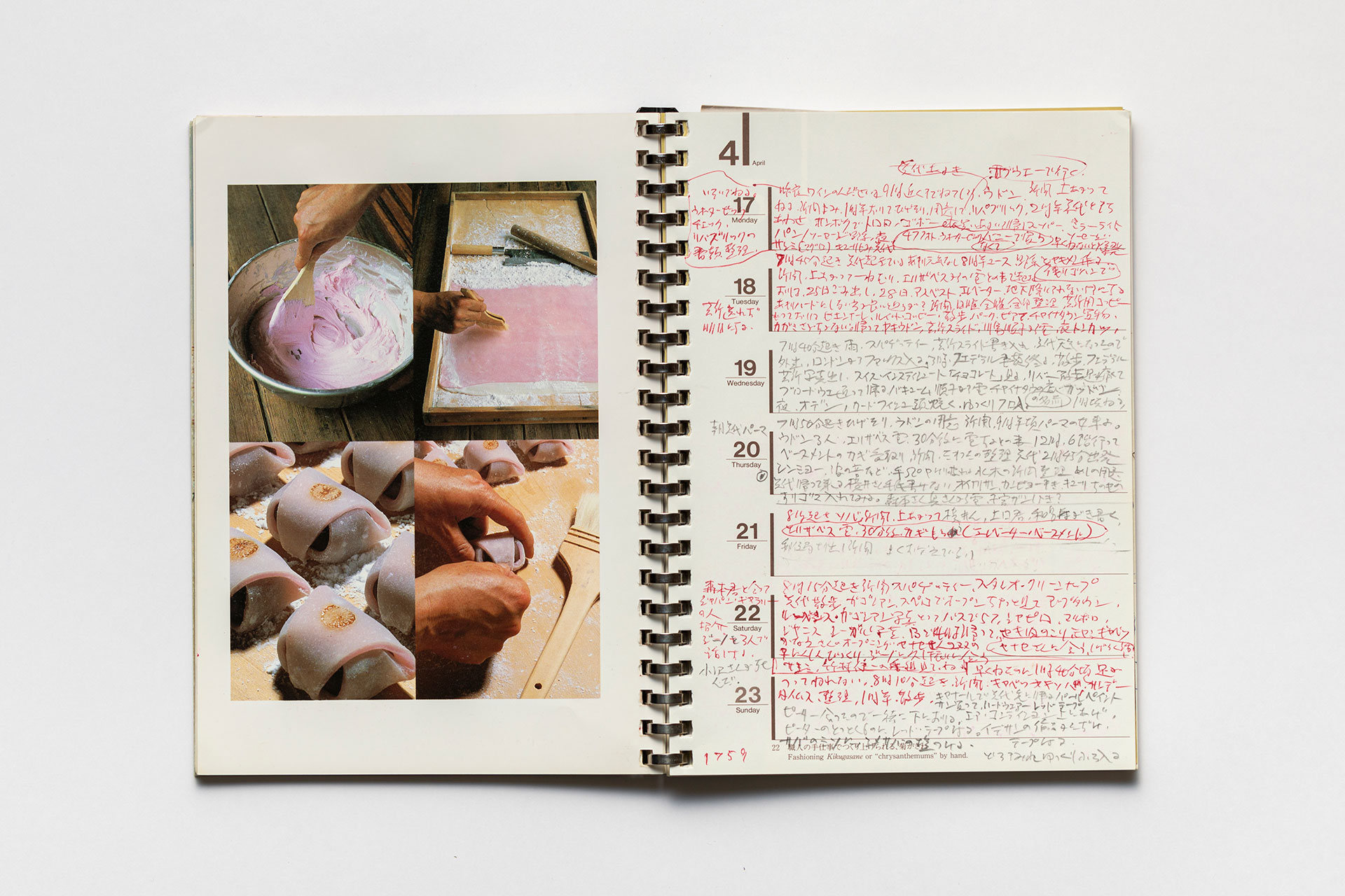 日記, 1995.1.1–1995.12.31