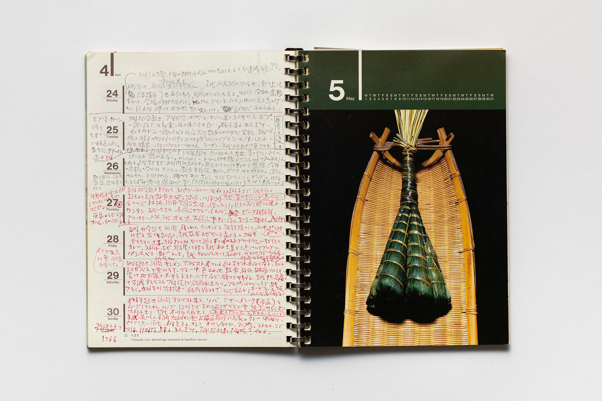 日記, 1995.1.1–1995.12.31