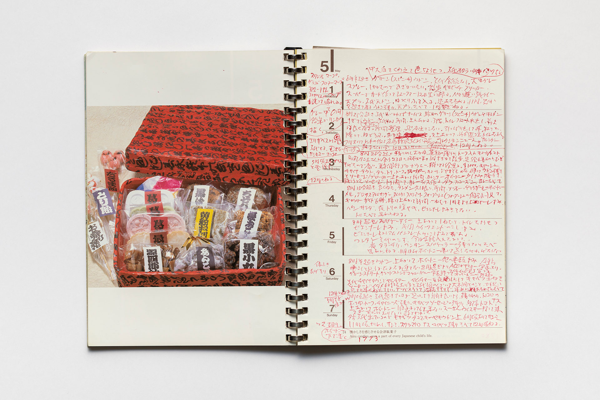 日記, 1995.1.1–1995.12.31