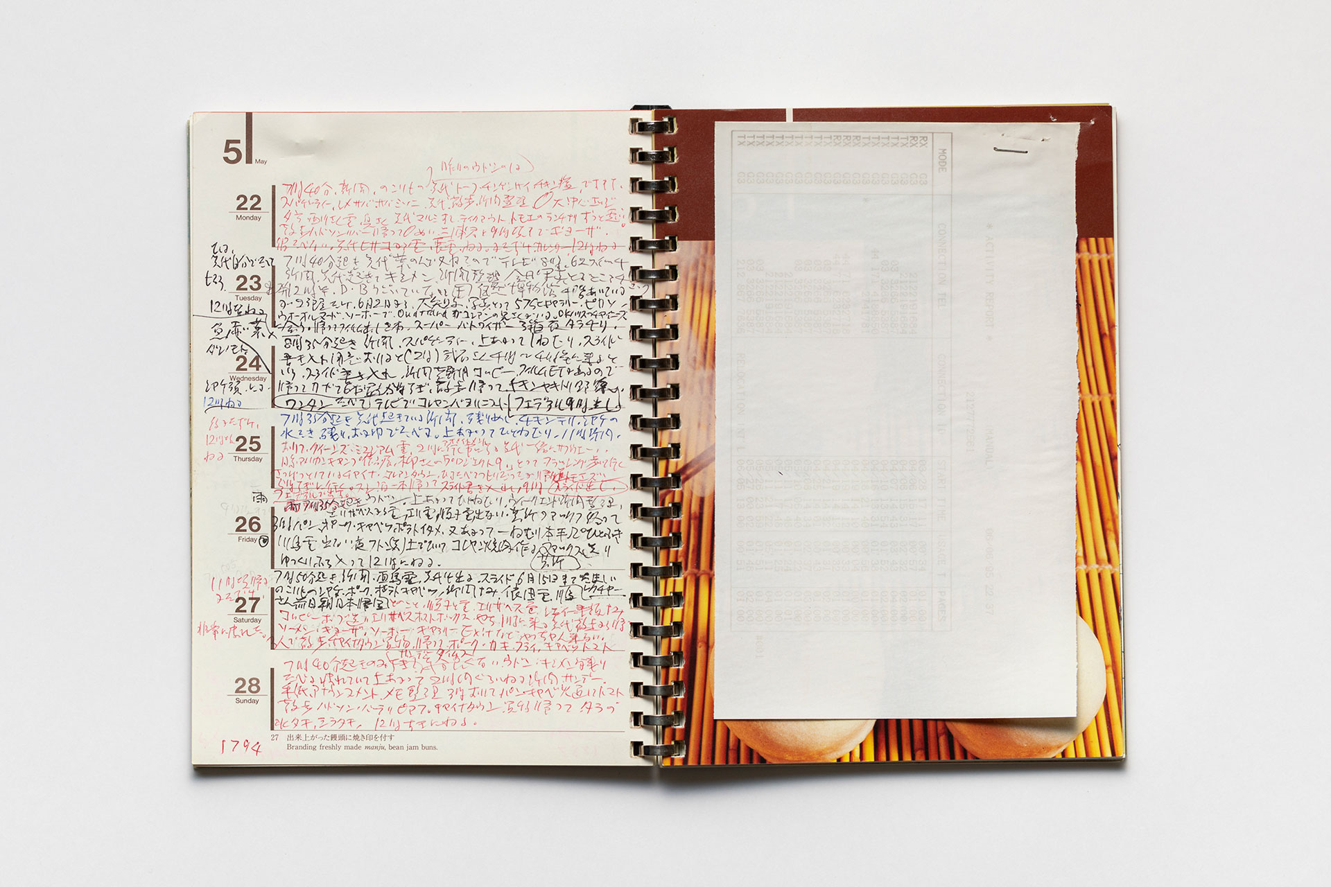 日記, 1995.1.1–1995.12.31