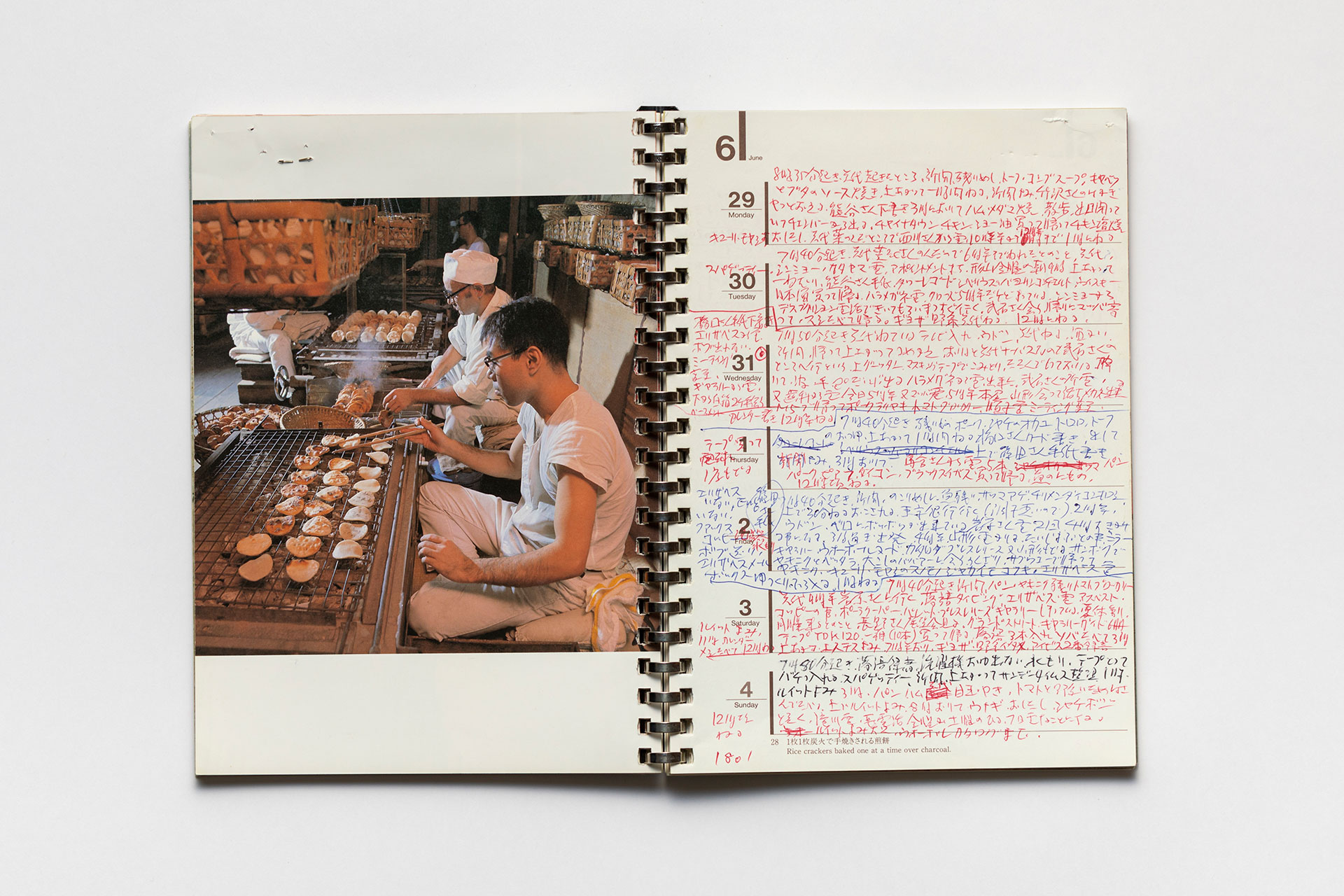 日記, 1995.1.1–1995.12.31