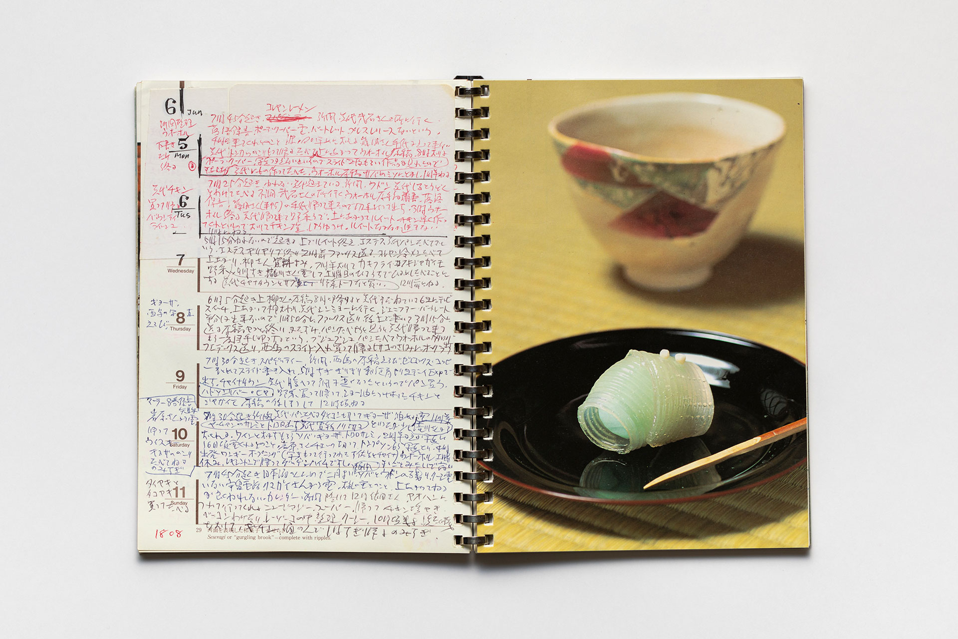 日記, 1995.1.1–1995.12.31