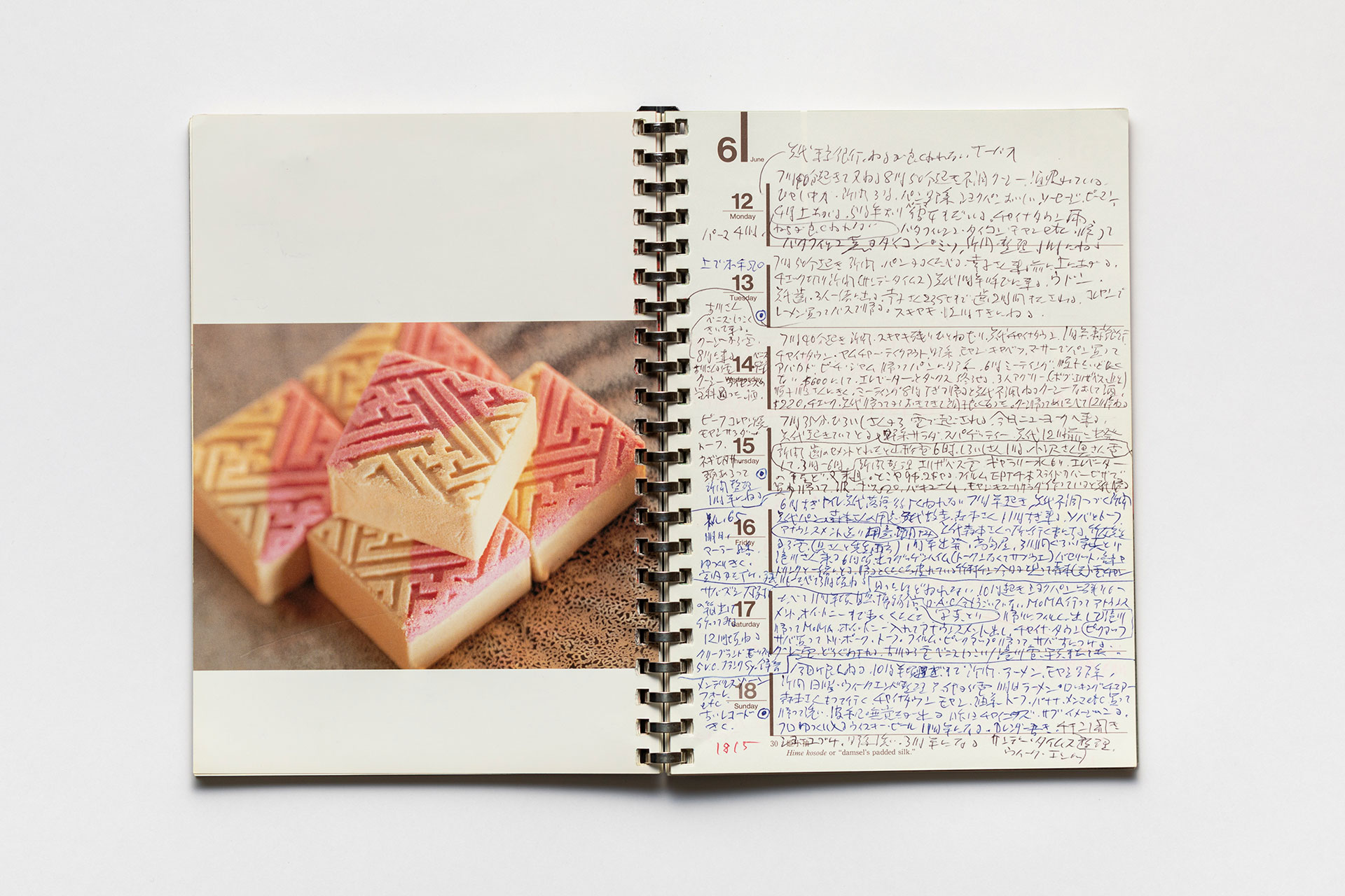 日記, 1995.1.1–1995.12.31