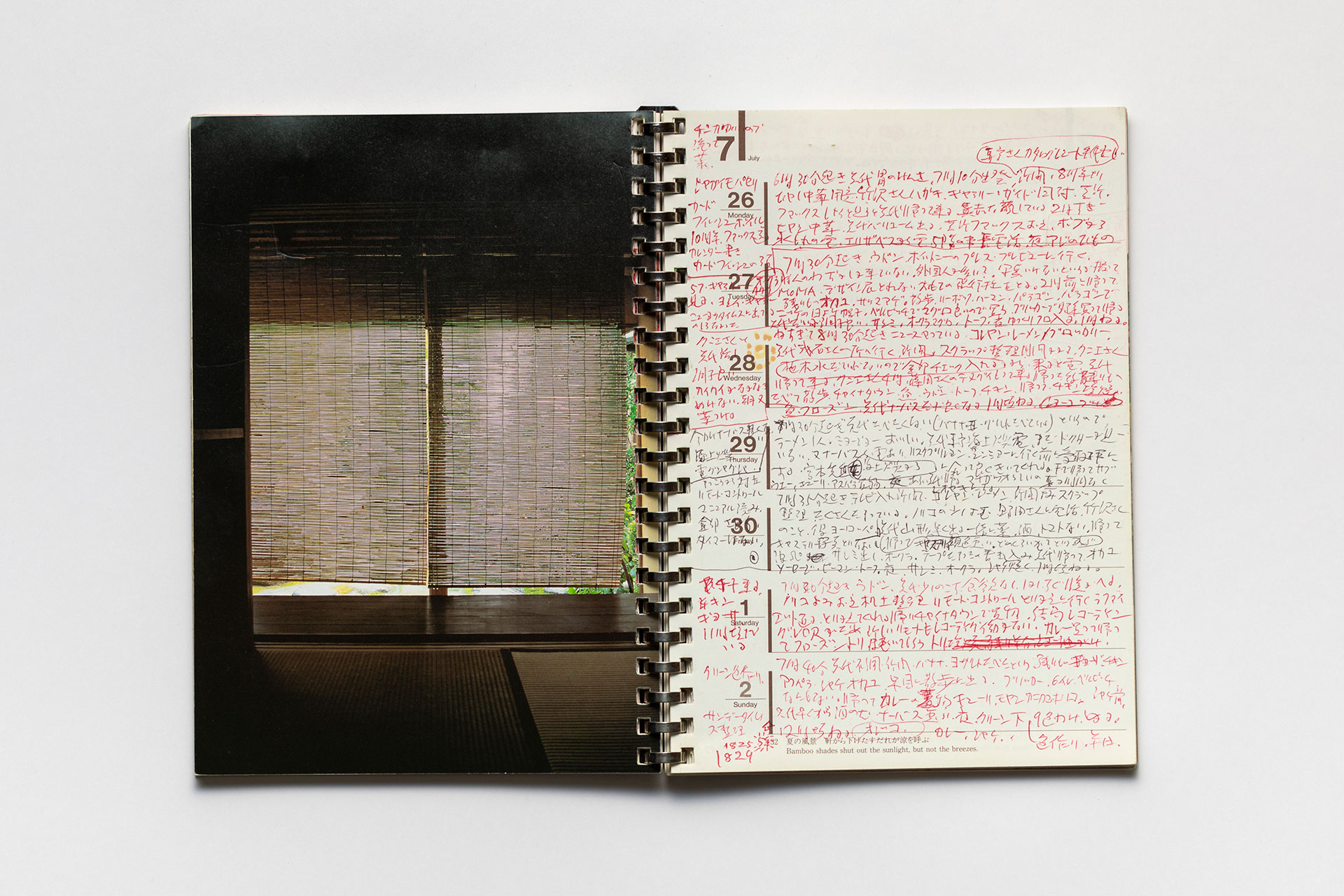 日記, 1995.1.1–1995.12.31