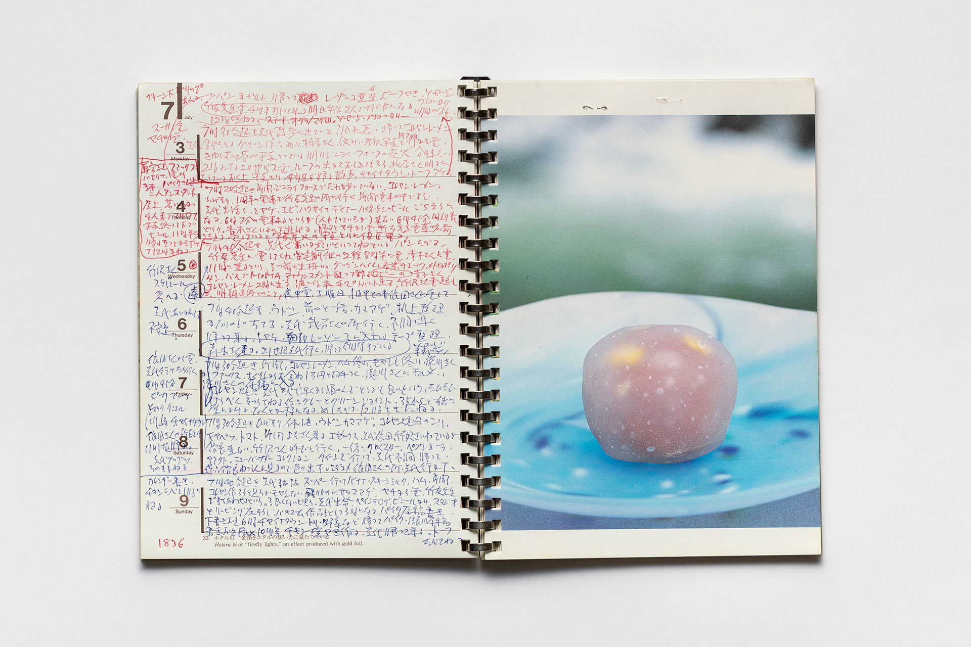 日記, 1995.1.1–1995.12.31