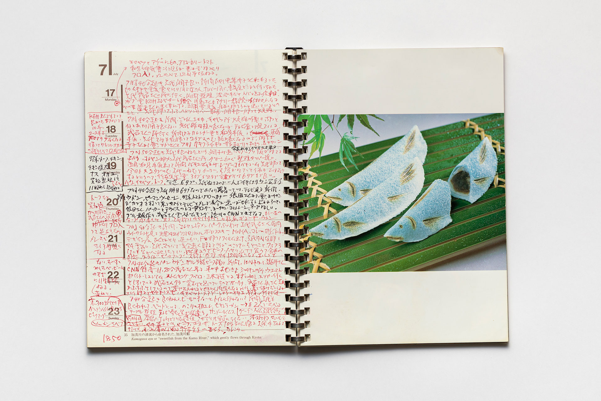 日記, 1995.1.1–1995.12.31