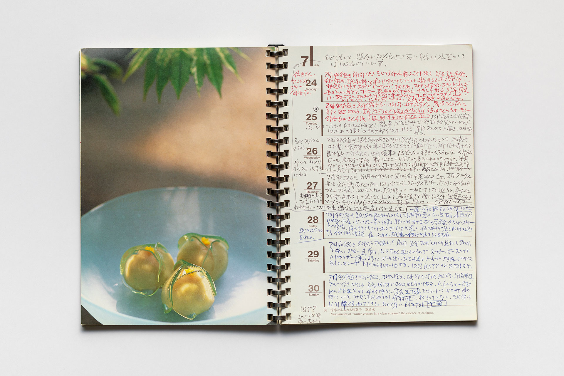 日記, 1995.1.1–1995.12.31