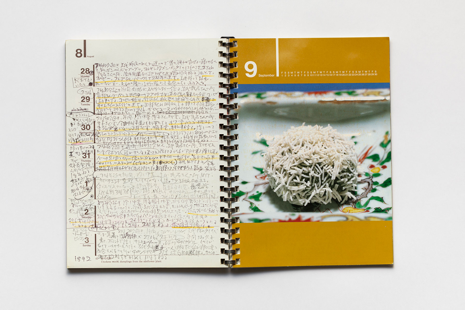 日記, 1995.1.1–1995.12.31