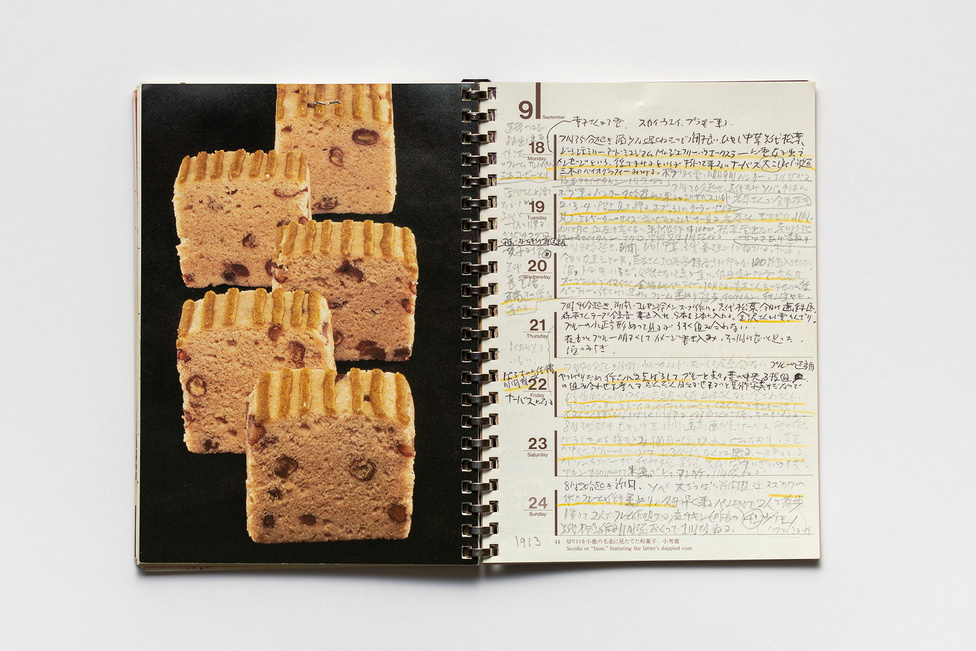 日記, 1995.1.1–1995.12.31