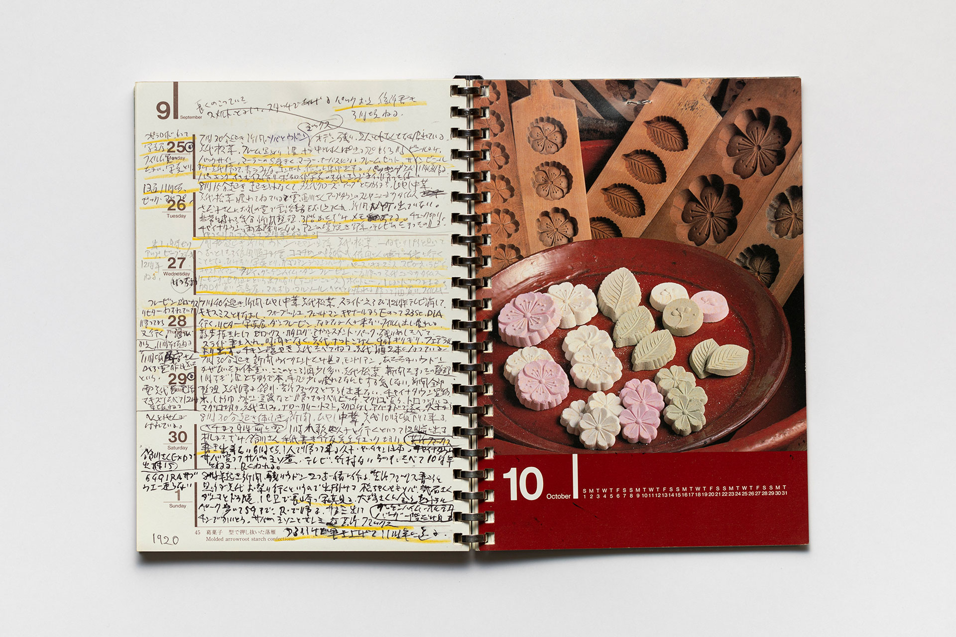 日記, 1995.1.1–1995.12.31