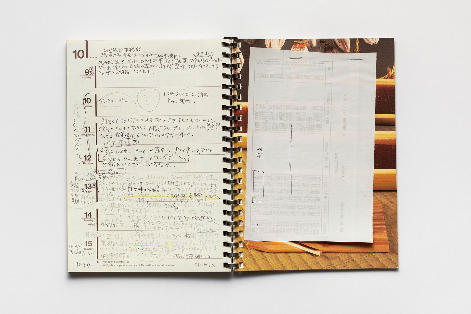 日記, 1995.1.1–1995.12.31