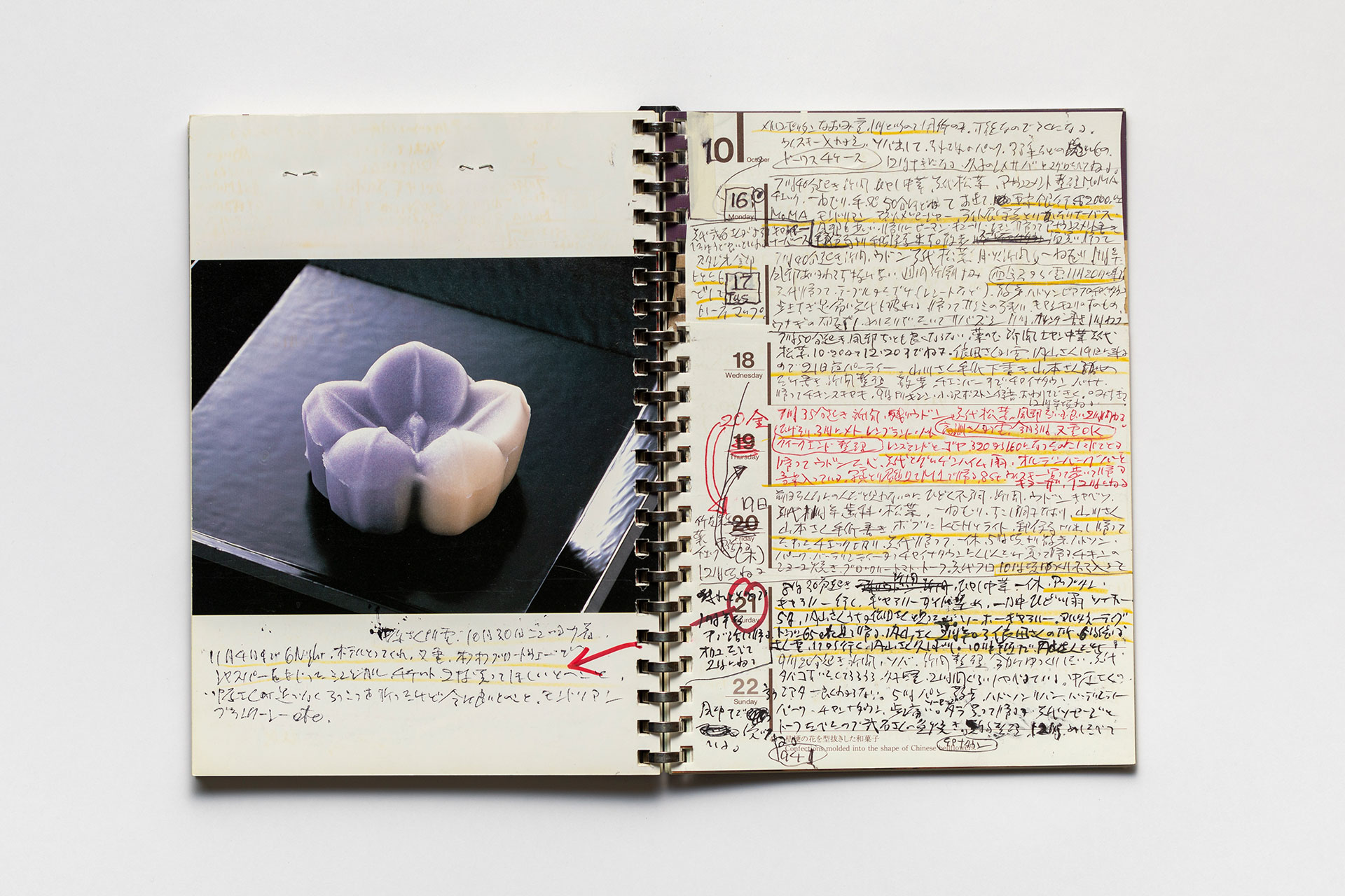 日記, 1995.1.1–1995.12.31