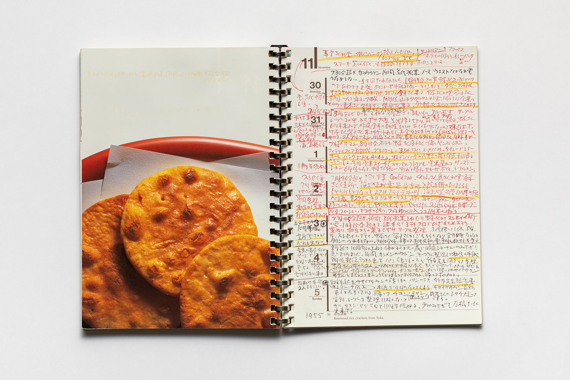 日記, 1995.1.1–1995.12.31