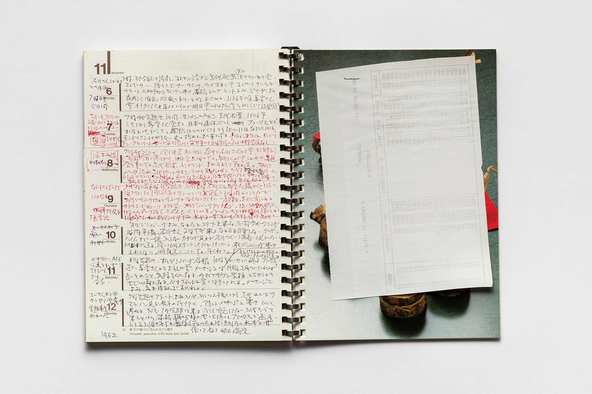 日記, 1995.1.1–1995.12.31