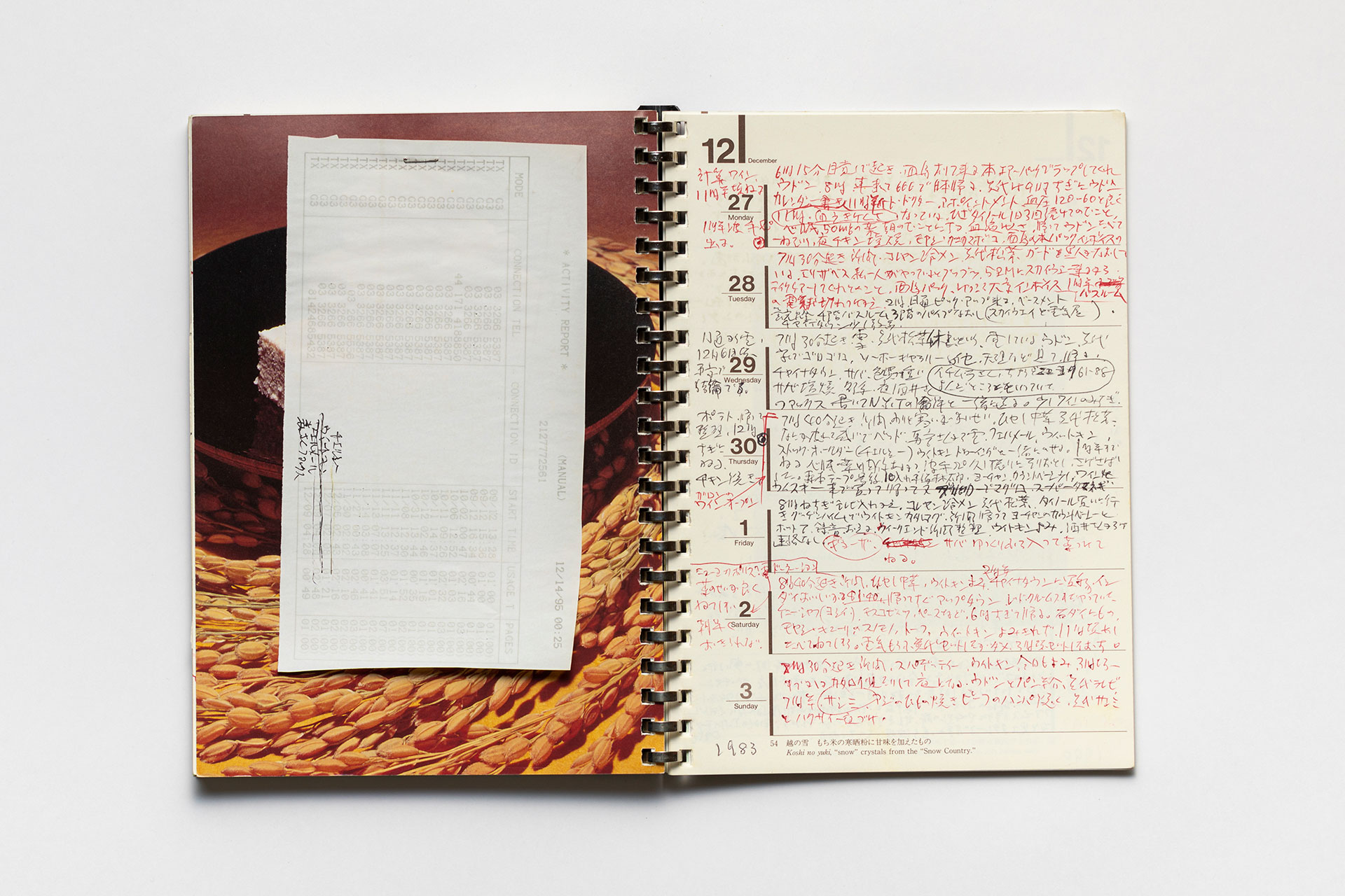 日記, 1995.1.1–1995.12.31