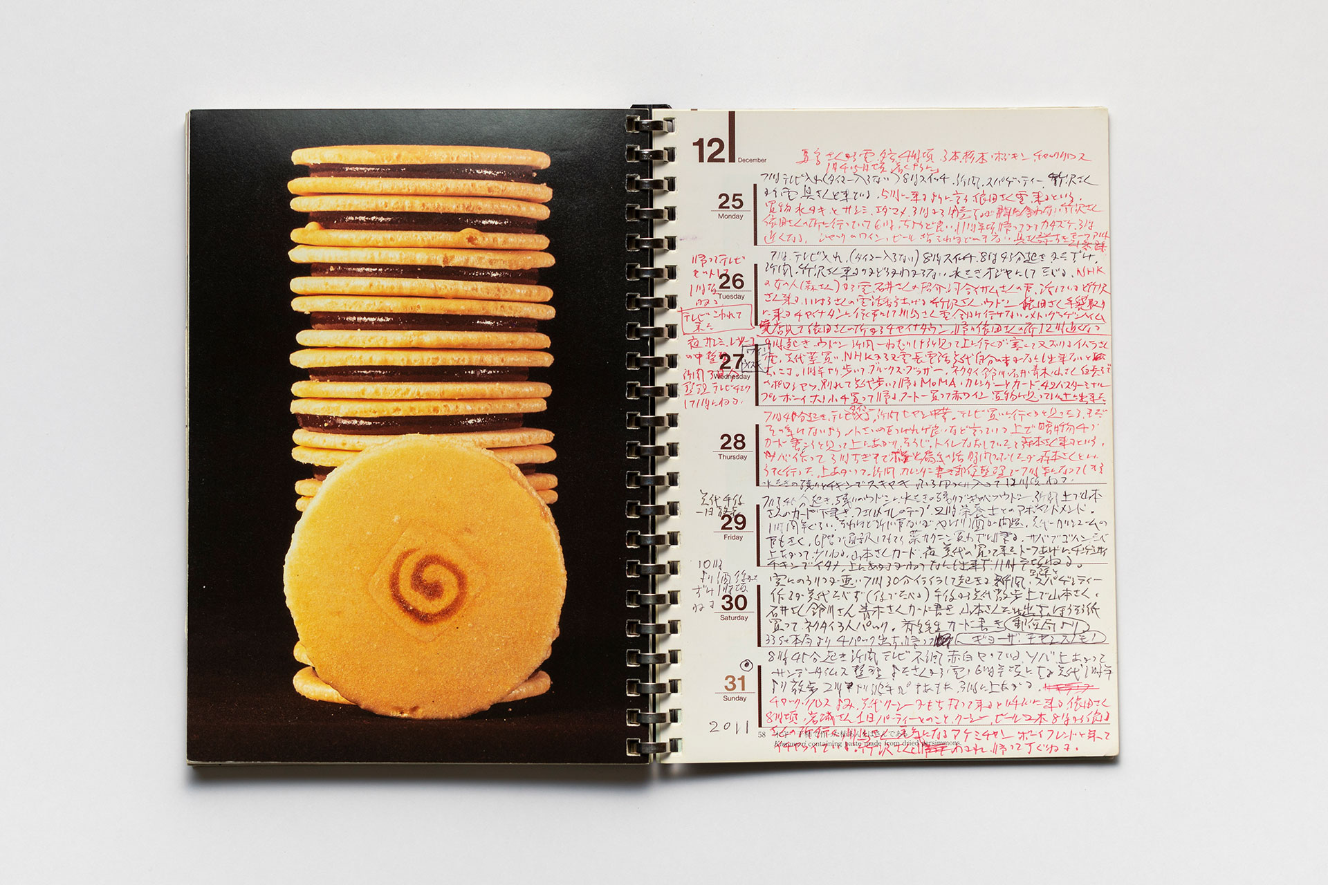 日記, 1995.1.1–1995.12.31