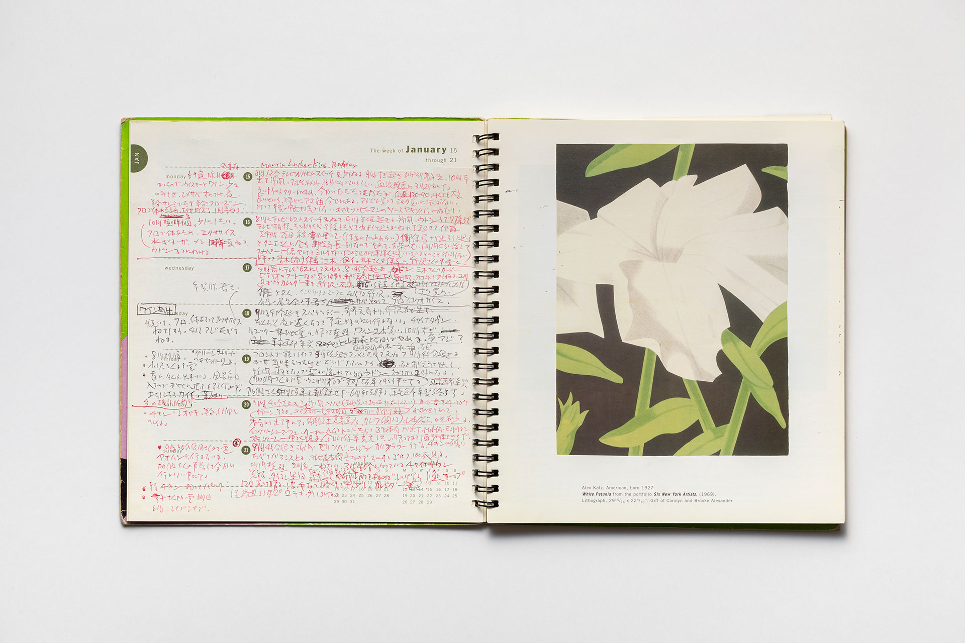 日記, 1996.1.1–1997.1.5