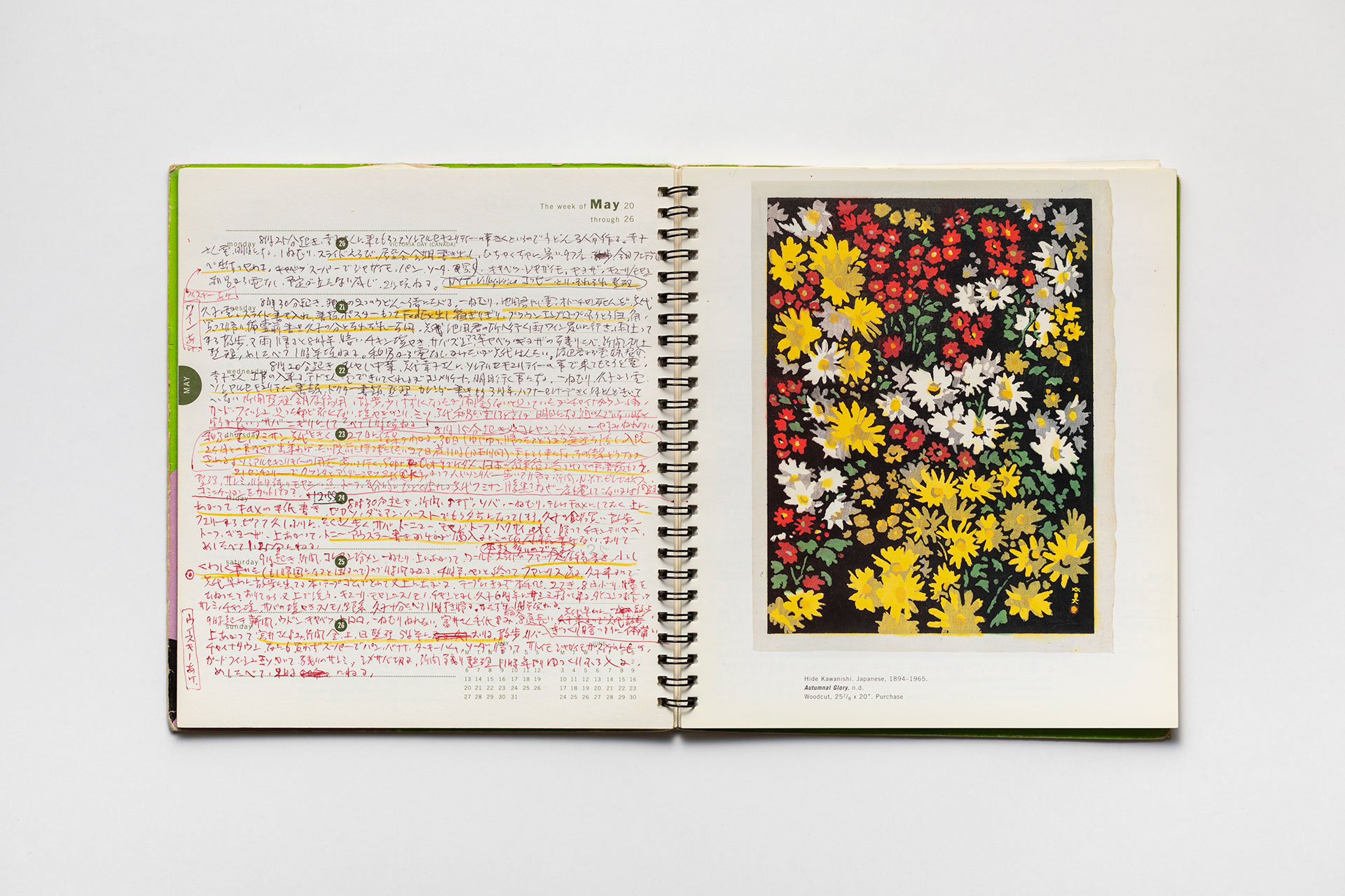 日記, 1996.1.1–1997.1.5