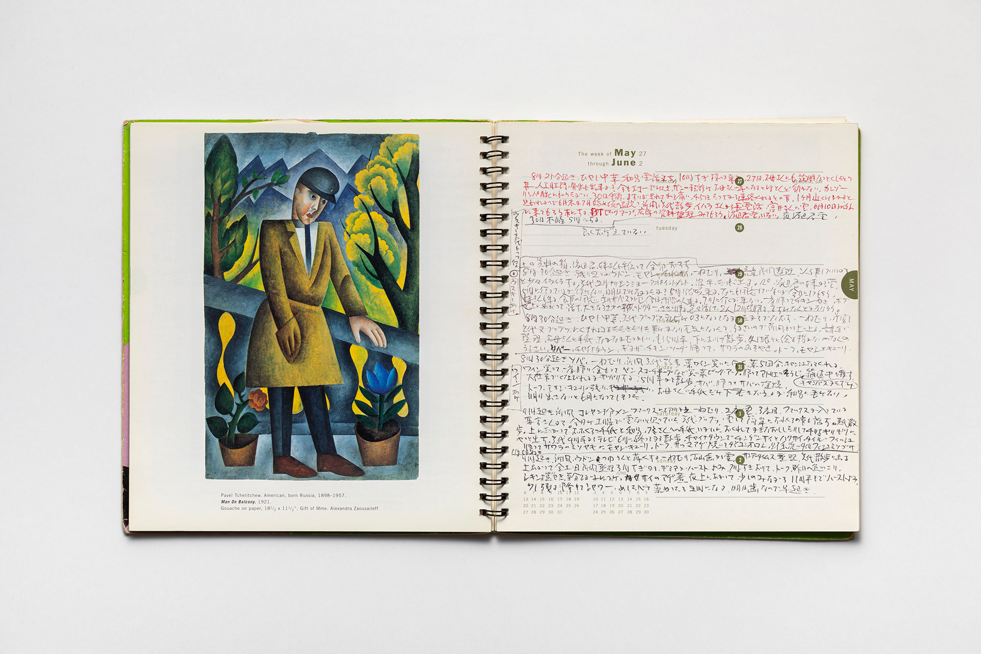 日記, 1996.1.1–1997.1.5