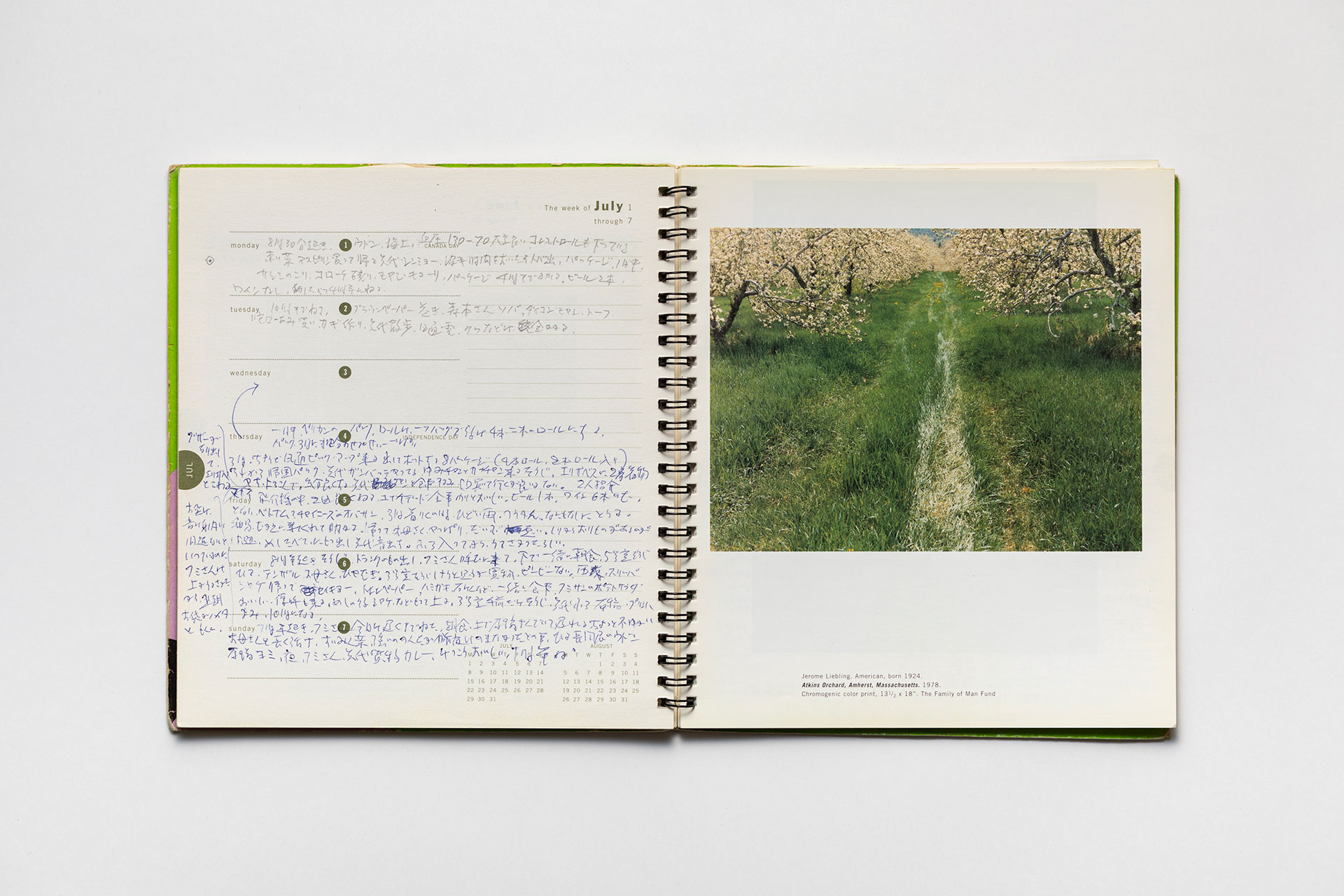 日記, 1996.1.1–1997.1.5