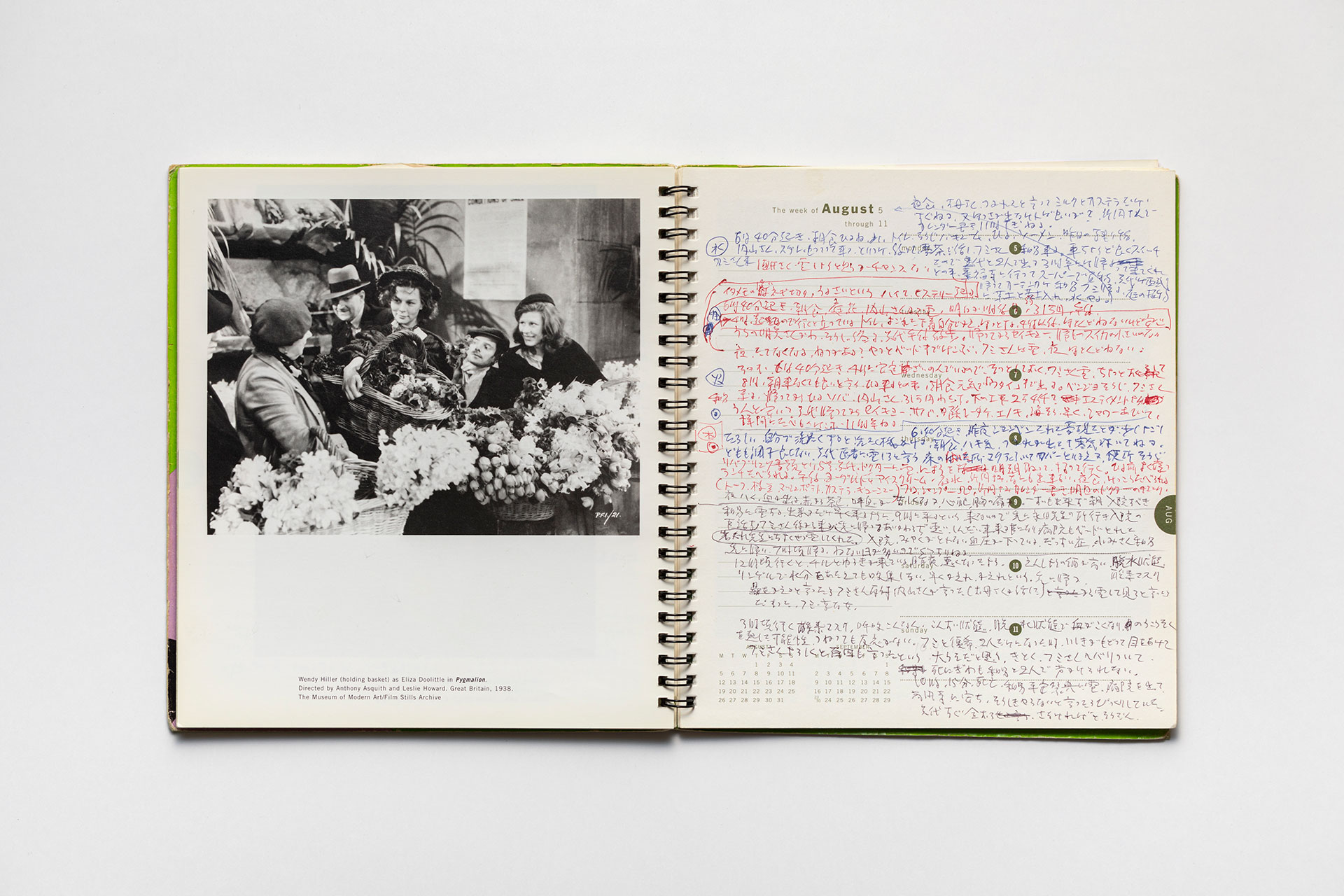 日記, 1996.1.1–1997.1.5