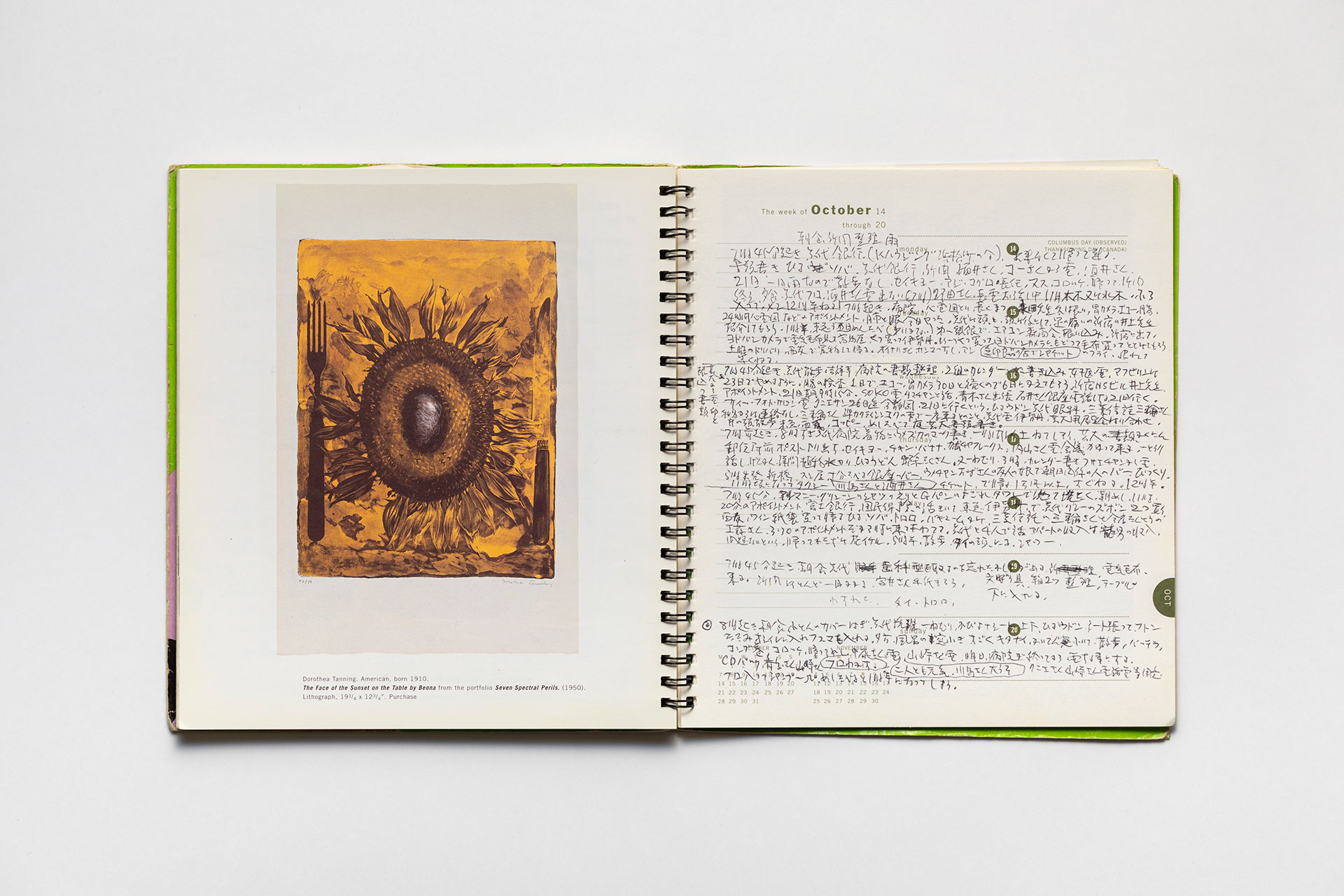 日記, 1996.1.1–1997.1.5