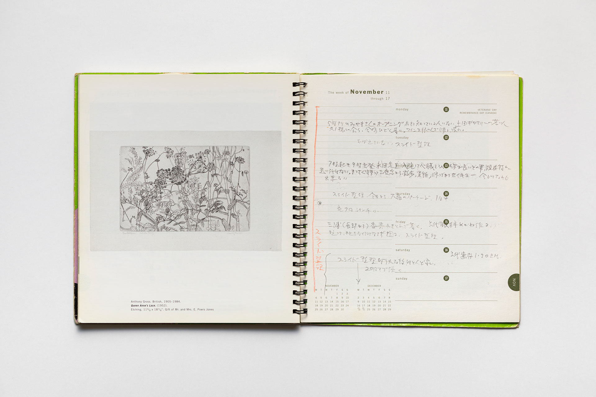 日記, 1996.1.1–1997.1.5