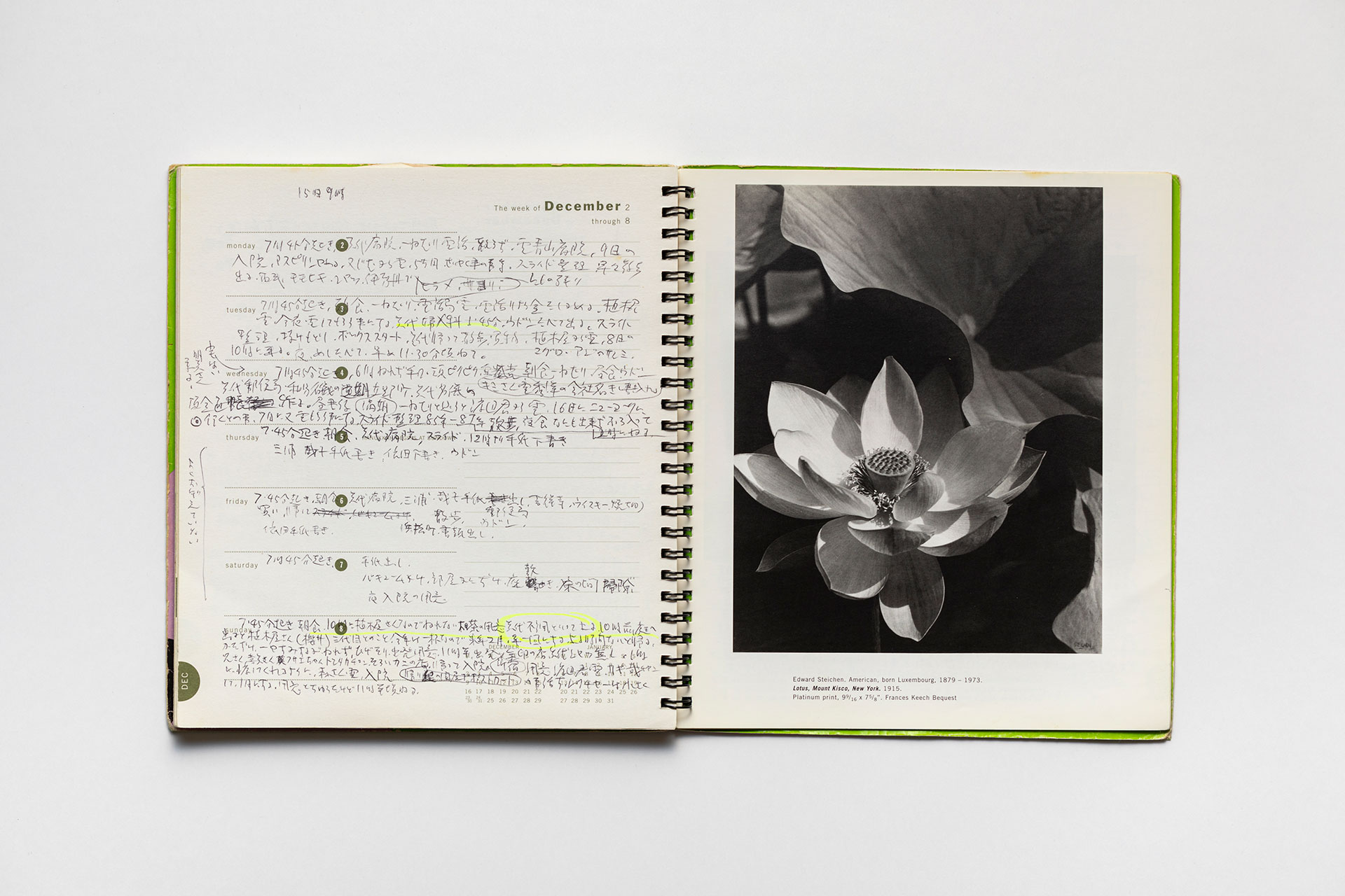 日記, 1996.1.1–1997.1.5