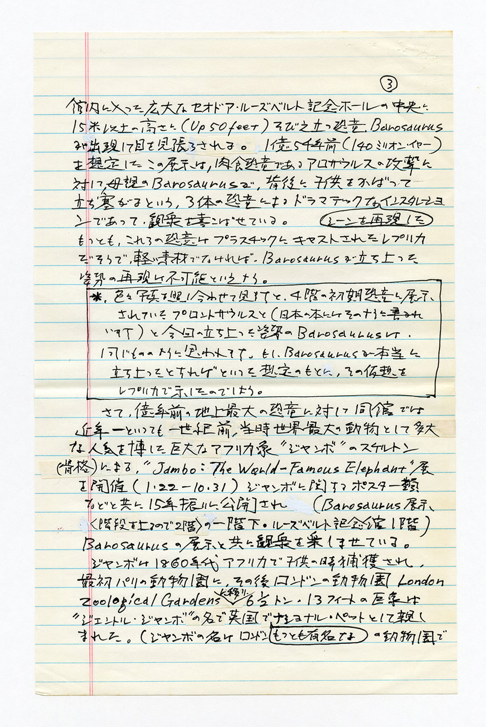寄稿文, 芸術新潮 ワールド・スナップ欄 1993年4月号